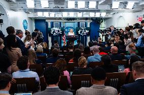 Karoline Leavitt Addresses Press - DC