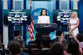 Karoline Leavitt Addresses Press - DC