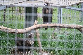 Wildlife Rehabilitation Station in Qinghai - China