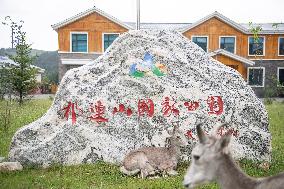 Wildlife Rehabilitation Station in Qinghai - China