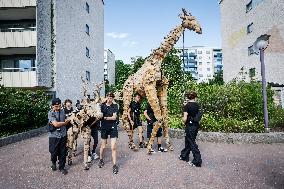 THE HERDS STOCKHOLM