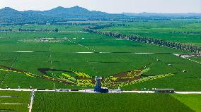 Great Northern Wildernes Group 859 Farm