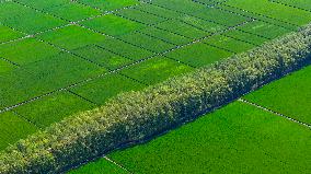 Great Northern Wildernes Group 859 Farm