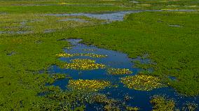 Naolihe River Wetland in Shuangyashan