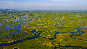 Naolihe River Wetland in Shuangyashan