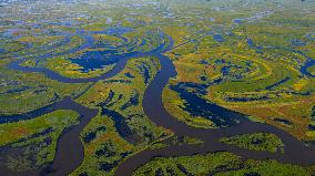 Naolihe River Wetland in Shuangyashan