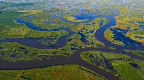 Naolihe River Wetland in Shuangyashan