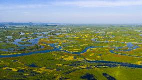 Naolihe River Wetland in Shuangyashan