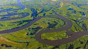 Naolihe River Wetland in Shuangyashan