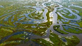 Naolihe River Wetland in Shuangyashan