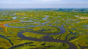 Naolihe River Wetland in Shuangyashan