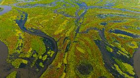 Naolihe River Wetland in Shuangyashan