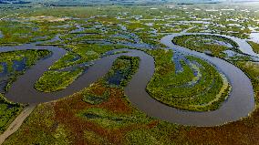 Naolihe River Wetland in Shuangyashan