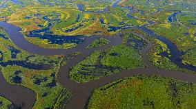 Naolihe River Wetland in Shuangyashan