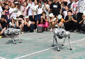 Rural Science Popularization
