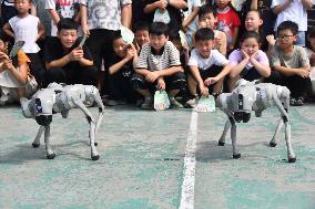 Rural Science Popularization