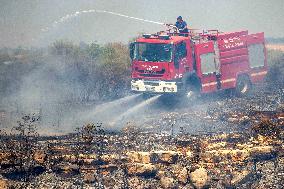 Wildfire Breaks Out in Limassol - Cyprus