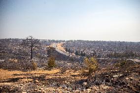 Wildfire Breaks Out in Limassol - Cyprus