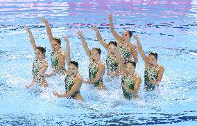 World aquatics championships