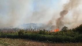 Fire Threatens Resort And Causes Evacuation - Italy