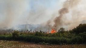 Fire Threatens Resort And Causes Evacuation - Italy