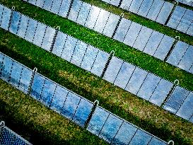 Solar Park With Energy To Power 80,000 Households - Netherlands