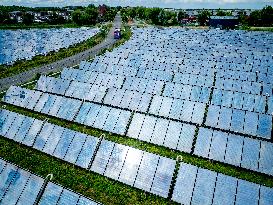 Solar Park With Energy To Power 80,000 Households - Netherlands