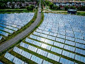 Solar Park With Energy To Power 80,000 Households - Netherlands