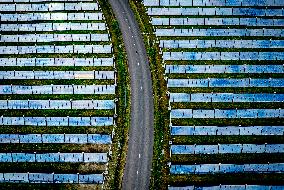 Solar Park With Energy To Power 80,000 Households - Netherlands