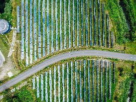 Solar Park With Energy To Power 80,000 Households - Netherlands