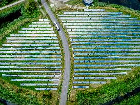 Solar Park With Energy To Power 80,000 Households - Netherlands