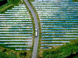 Solar Park With Energy To Power 80,000 Households - Netherlands