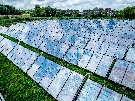Solar Park With Energy To Power 80,000 Households - Netherlands
