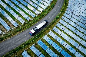 Solar Park With Energy To Power 80,000 Households - Netherlands