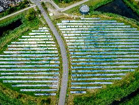 Solar Park With Energy To Power 80,000 Households - Netherlands