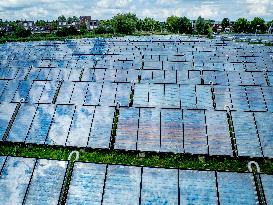 Solar Park With Energy To Power 80,000 Households - Netherlands