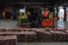 Canadian Copper Refinery - Montreal
