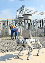 Intelligent Robot Inspects Power Grid in Chuzhou