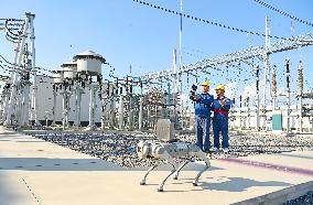 Intelligent Robot Inspects Power Grid in Chuzhou