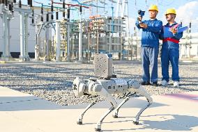 Intelligent Robot Inspects Power Grid in Chuzhou