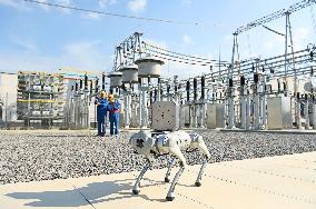 Intelligent Robot Inspects Power Grid in Chuzhou