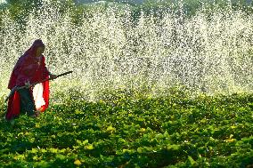 Agricultural Drought