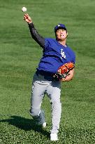Baseball:Shohei Ohtani