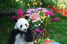 Birthdays of giant pandas Shuangxin and Hexing - Xining