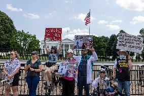 US Israel Palestine Protest - Washington