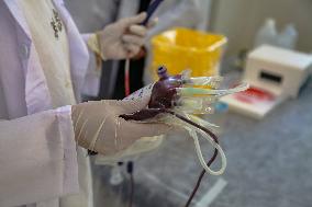 Blood Donation Campaign in Palestine