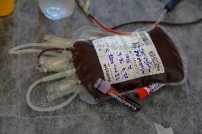 Blood Donation Campaign in Palestine