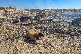 Explosion in The North of Idlib City in Syria