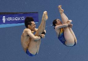 World aquatics championships