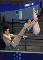 World aquatics championships